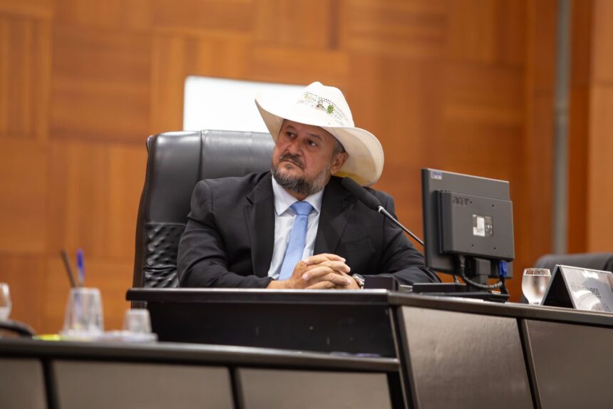 Cattani cria Comissão Especial de Defesa da Mulher com foco no combate ao feminicídio em MT