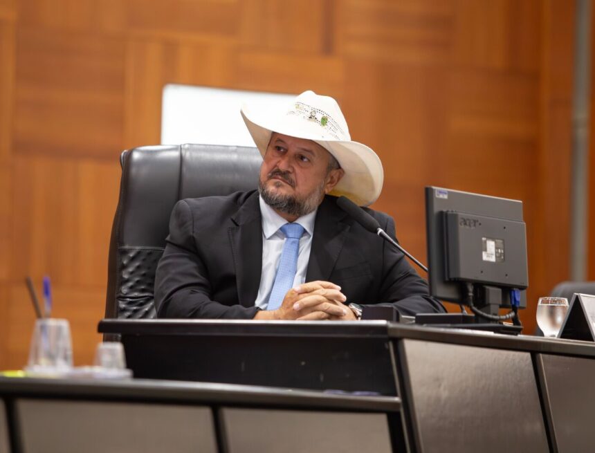 Cattani cria Comissão Especial de Defesa da Mulher com foco no combate ao feminicídio em MT