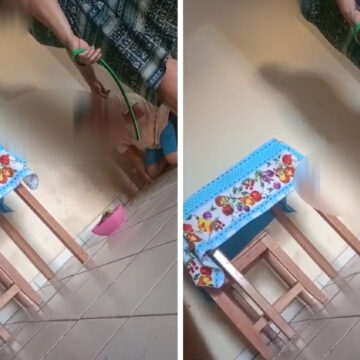 Vídeo mostra criança sendo forçada a ajoelhar e comer igual cachorro: “Lambe o chão”