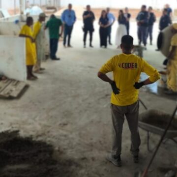 Mato Grosso estabelece novas regras para trabalho externo de detentos