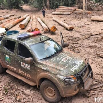 Batalhão da PM Ambiental apreende 174 metros cúbicos de madeira ilegal em Marcelândia