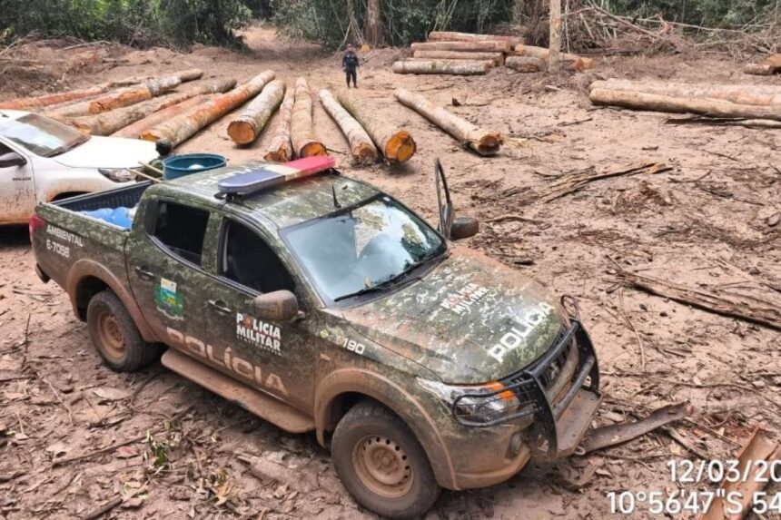 Batalhão da PM Ambiental apreende 174 metros cúbicos de madeira ilegal em Marcelândia