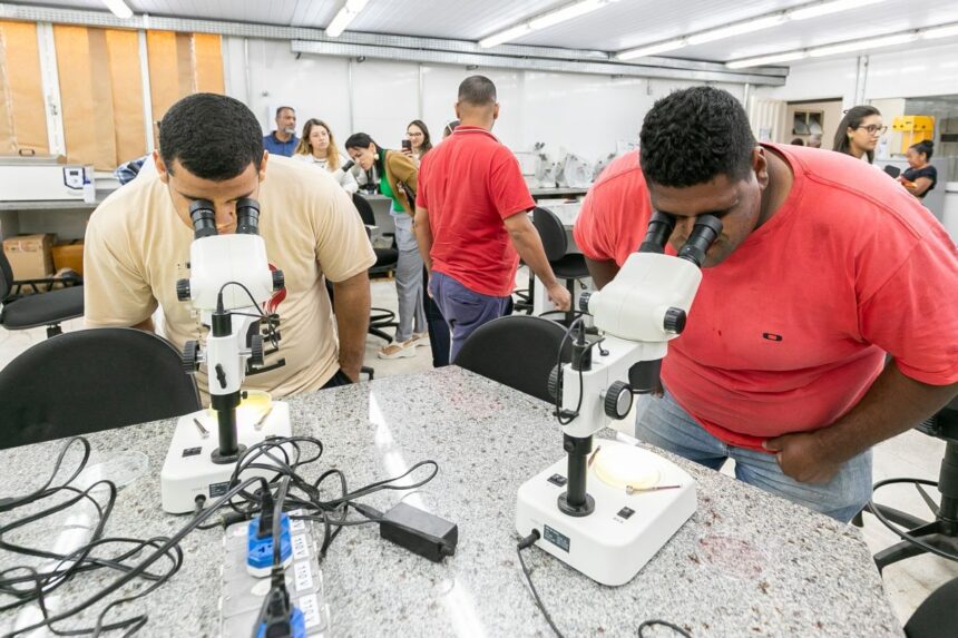 t&acirc;ncia da regulariza&ccedil;&atilde;o dos comerciantes e da fiscaliza&cced