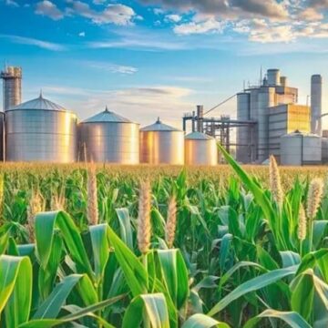 Agronegócio impulsiona Balsas a se tornar um dos maiores polos agrícolas do Brasil