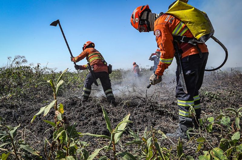 Brigadistas temporários: seleção aberta para combate a incêndios florestais no estado Podem participar do processo seletivo candidatos alfabetizados, com idade entre 18 e 50 anos, que possuam conhecimentos básicos no manuseio de ferramentas agrícolas