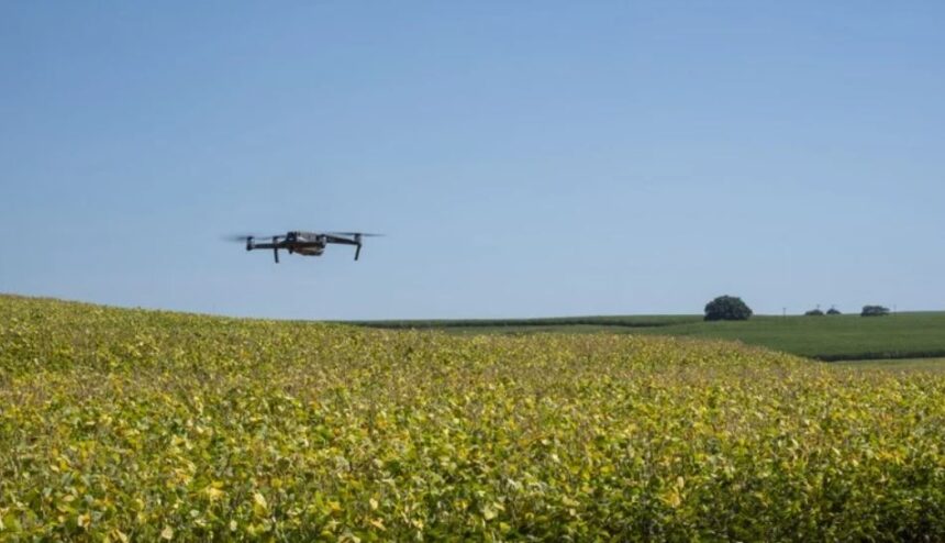 Agropecuária brasileira enfrenta projeção de queda no faturamento para 2026 Foto: Divulgação/Mapa