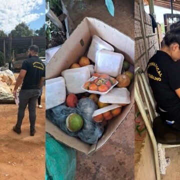 Operação foi realizada em Rondonópolis na última segunda-feira (22).