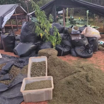 Foto: Divulgação/Polícia Civil do Ceará