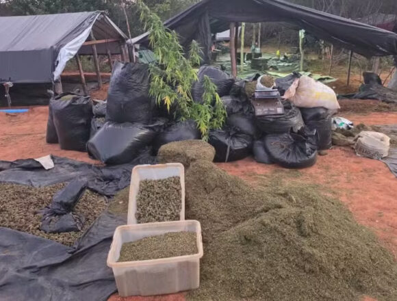 Foto: Divulgação/Polícia Civil do Ceará