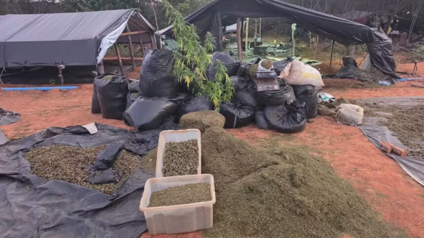 Foto: Divulgação/Polícia Civil do Ceará