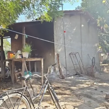 Força-tarefa resgata 89 de trabalho degradante em lavouras de café mineiras