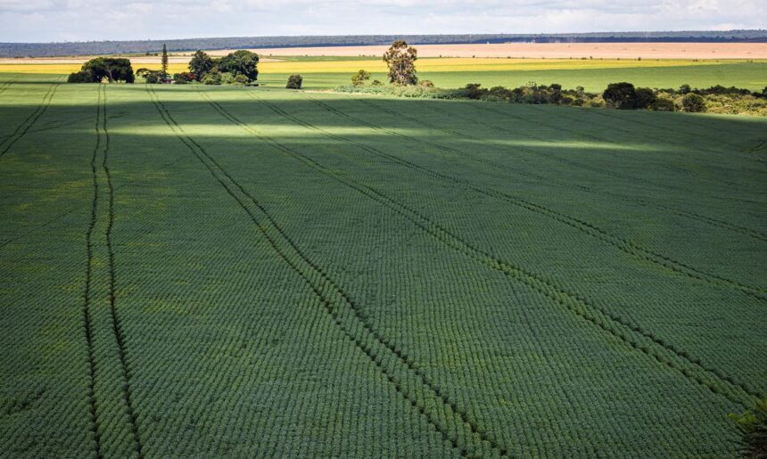 Brasil busca soberania agrícola com novo plano de incentivo à produção de fertilizantes Brasil busca soberania agrícola com novo plano de incentivo à produção de fertilizantes