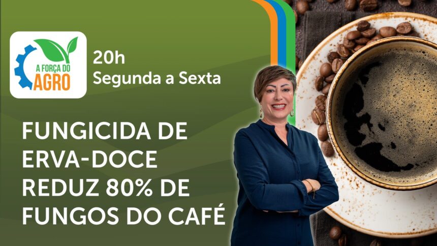 Fungicida de erva-doce revoluciona controle de pragas no café com alta eficácia