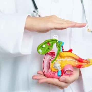 Pâncreas: a 'usina dupla' e o significado de ser o 'doce da vida'