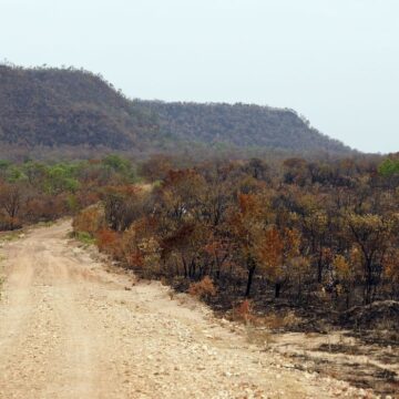 vulnerabilidade-climatica-perda-de-vegetacao-nativa-no-b-1786533373452 Vulnerabilidade climática: perda de vegetação nativa no Brasil amplifica efeitos do El Niño