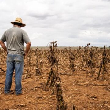 Proposta de renegociação de dívidas rurais amplia acesso a produtores adimplentes