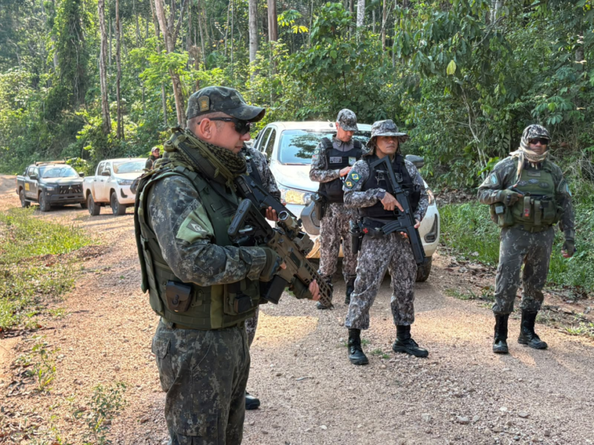Apreensão de armas em área de desmatamento na Amazônia reforça combate a crimes ambientais