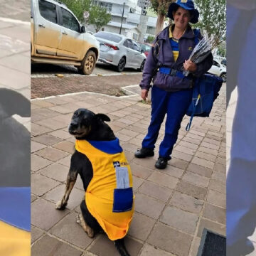 Cachorro carteiro Duque emociona internautas ao ganhar uniforme dos Correios