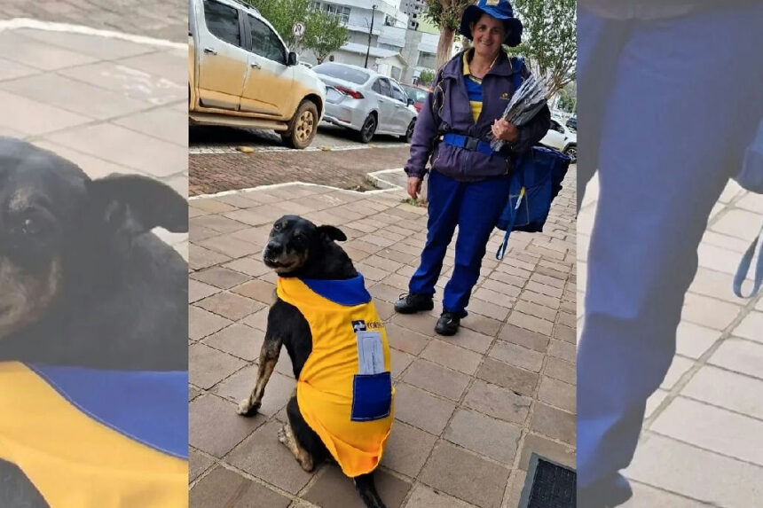 Cachorro carteiro Duque emociona internautas ao ganhar uniforme dos Correios Cachorro carteiro Duque emociona internautas ao ganhar uniforme dos Correios