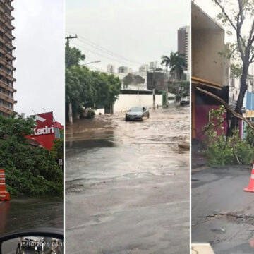 Chuvas intensas causam quedas de árvores e alagamentos em Cuiabá e Várzea Grande nesta quinta-feira