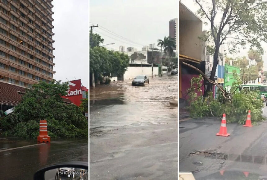Chuvas intensas causam quedas de árvores e alagamentos em Cuiabá e Várzea Grande nesta quinta-feira Chuvas intensas causam quedas de árvores e alagamentos em Cuiabá e Várzea Grande nesta quinta-feira