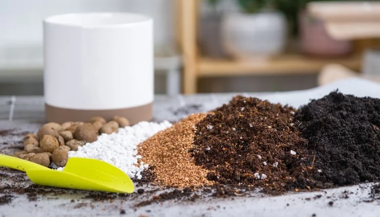 Dependência externa de fertilizantes representa risco estratégico ao agronegócio