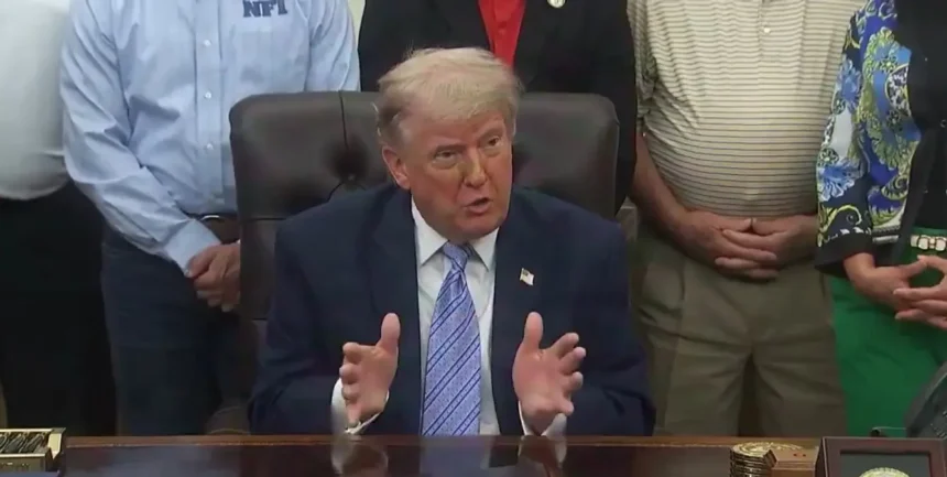 Ex-presidente Donald Trump critica lentidão em eleições americanas e elogia agilidade da apuração brasileira Ex-presidente Donald Trump critica lentidão em eleições americanas e elogia agilidade da apuração brasileira