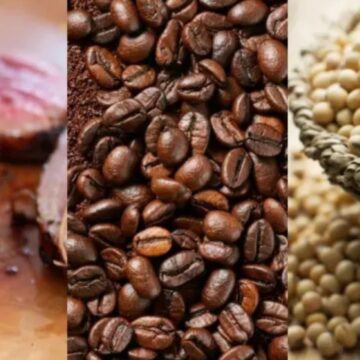 Exportação brasileira: União Europeia exige comprovação de origem para carne, café e soja