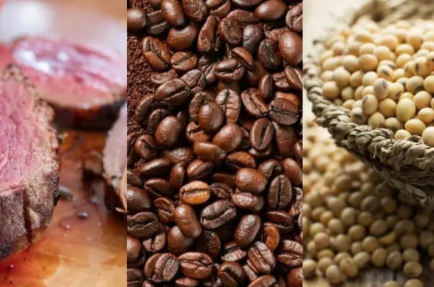 Exportação brasileira: União Europeia exige comprovação de origem para carne, café e soja
