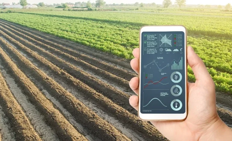 Inteligência artificial chega ao pequeno produtor rural para facilitar a rotina no campo