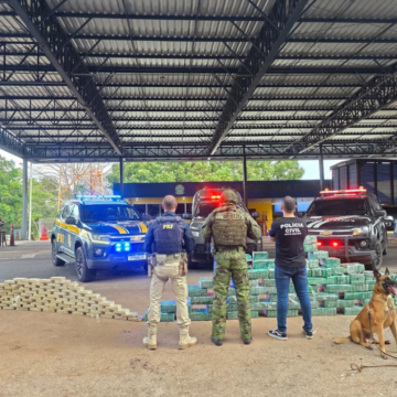 Operação conjunta desarticula rota do tráfico e apreende grande carga de cocaína