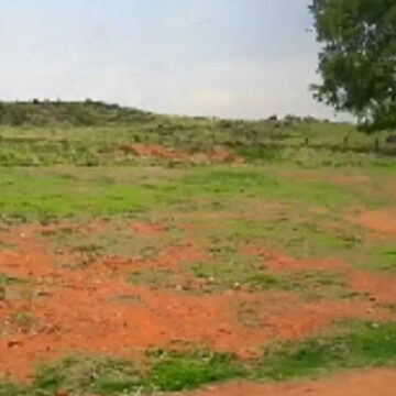 Pecuarista enfrenta perda de fazenda adquirida em leilão judicial sem direito de defesa