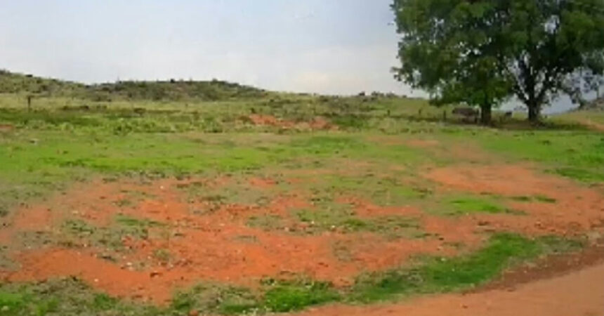 Pecuarista enfrenta perda de fazenda adquirida em leilão judicial sem direito de defesa Pecuarista enfrenta perda de fazenda adquirida em leilão judicial sem direito de defesa