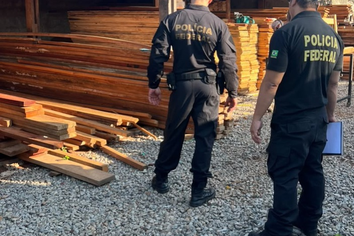 Polícia Federal desarticula esquema de fraude e comércio ilegal de madeira