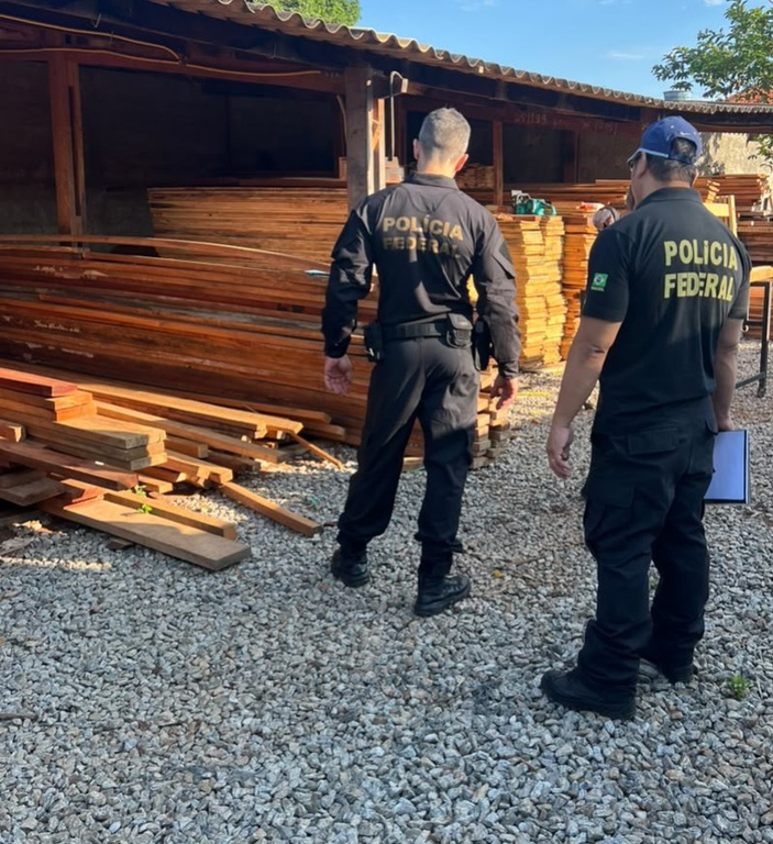 Polícia Federal desarticula esquema de fraude e comércio ilegal de madeira