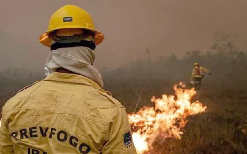 Reforço aéreo da FAB chega ao Amazonas em meio a grave crise de queimadas
