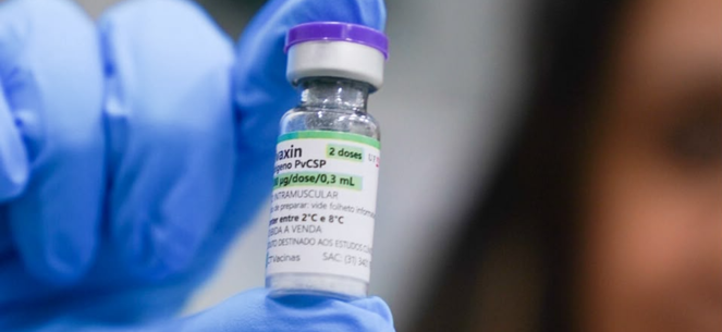 Vacina contra malária vivax: pesquisa brasileira alcança testes em humanos Vacina contra malária vivax: pesquisa brasileira alcança testes em humanos